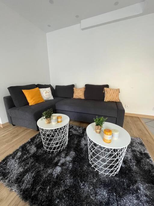 Superbe Appartement Moderne En Rez-De-Chaussee Ozoir-la-Ferrière Eksteriør bilde
