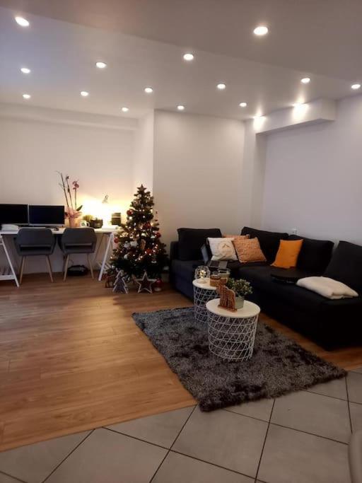 Superbe Appartement Moderne En Rez-De-Chaussee Ozoir-la-Ferrière Eksteriør bilde